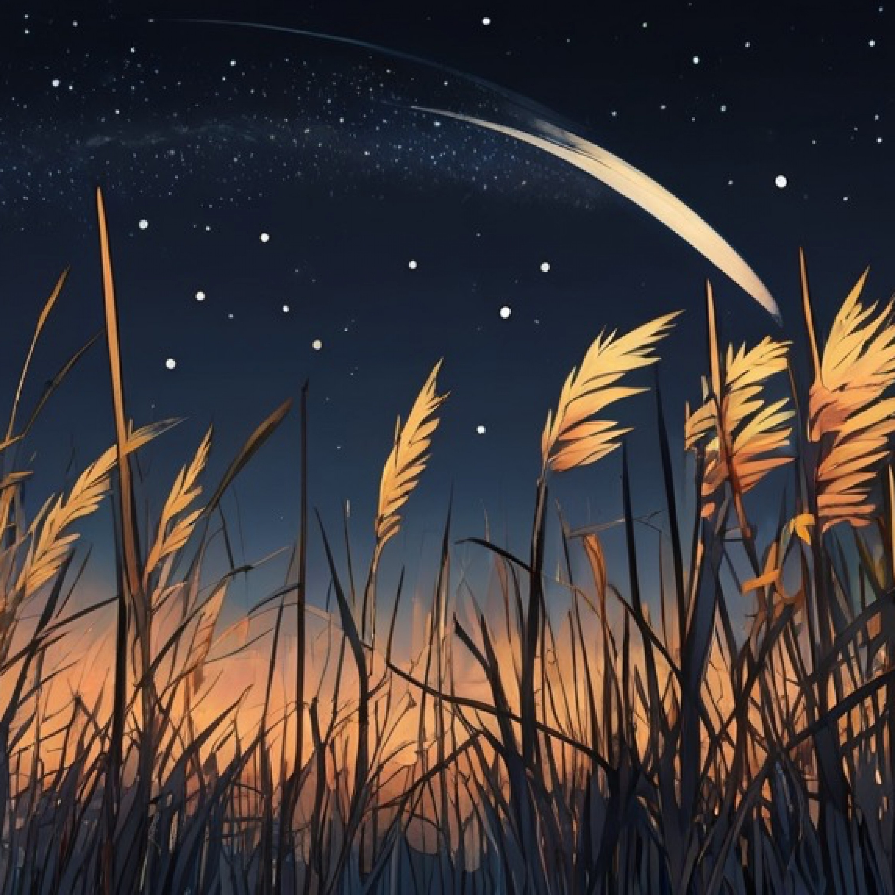 ジャケット写真