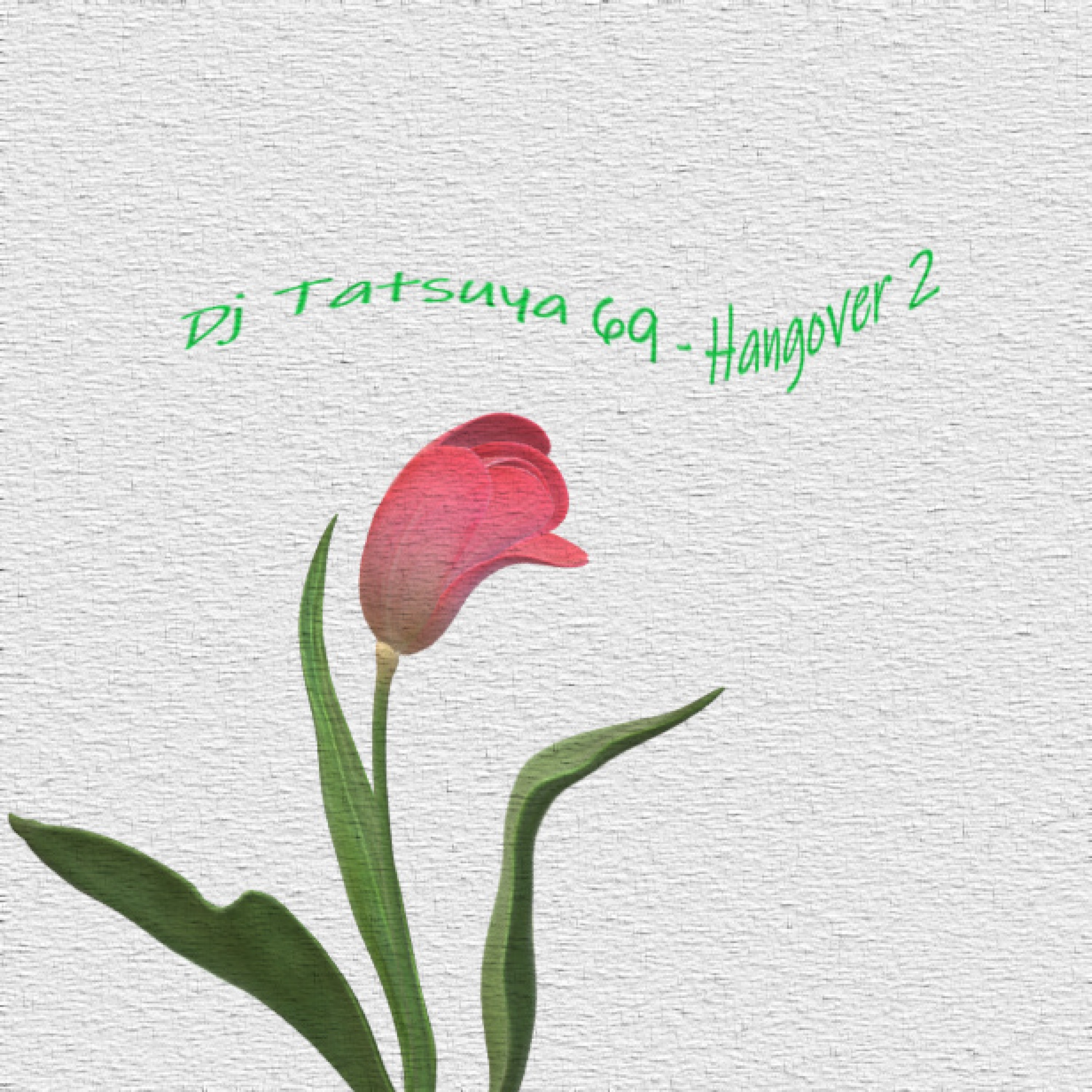 ジャケット写真