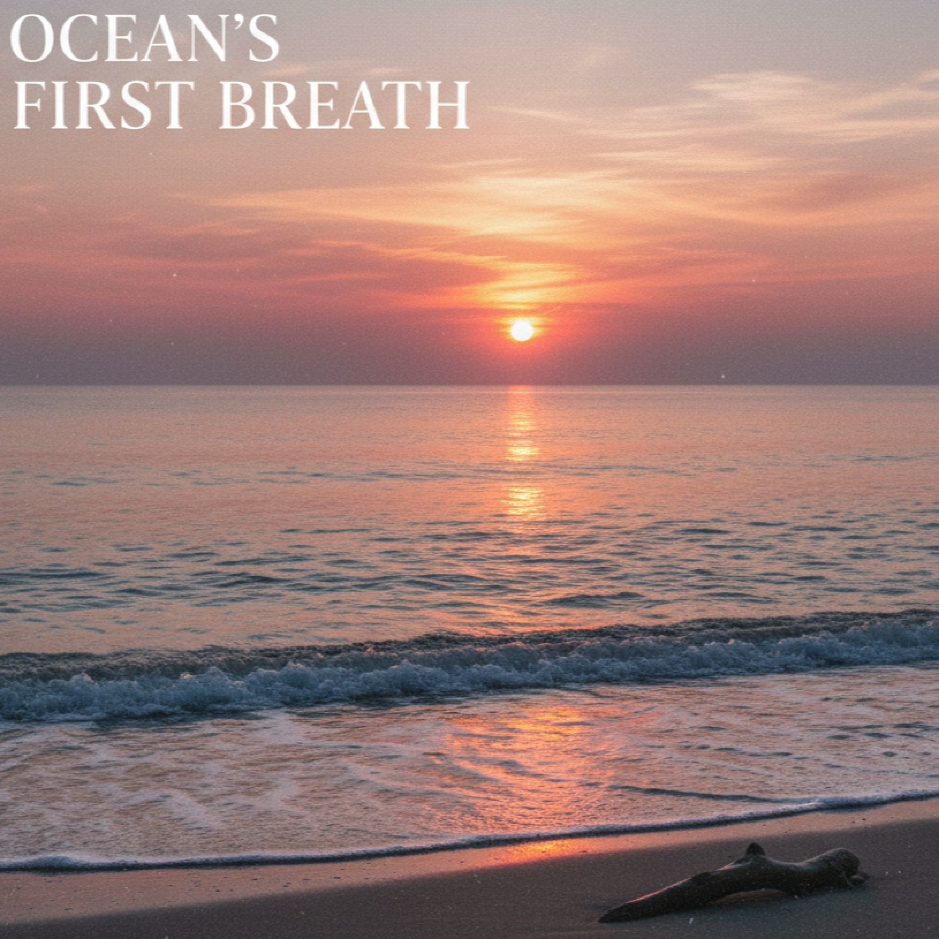 ジャケット写真