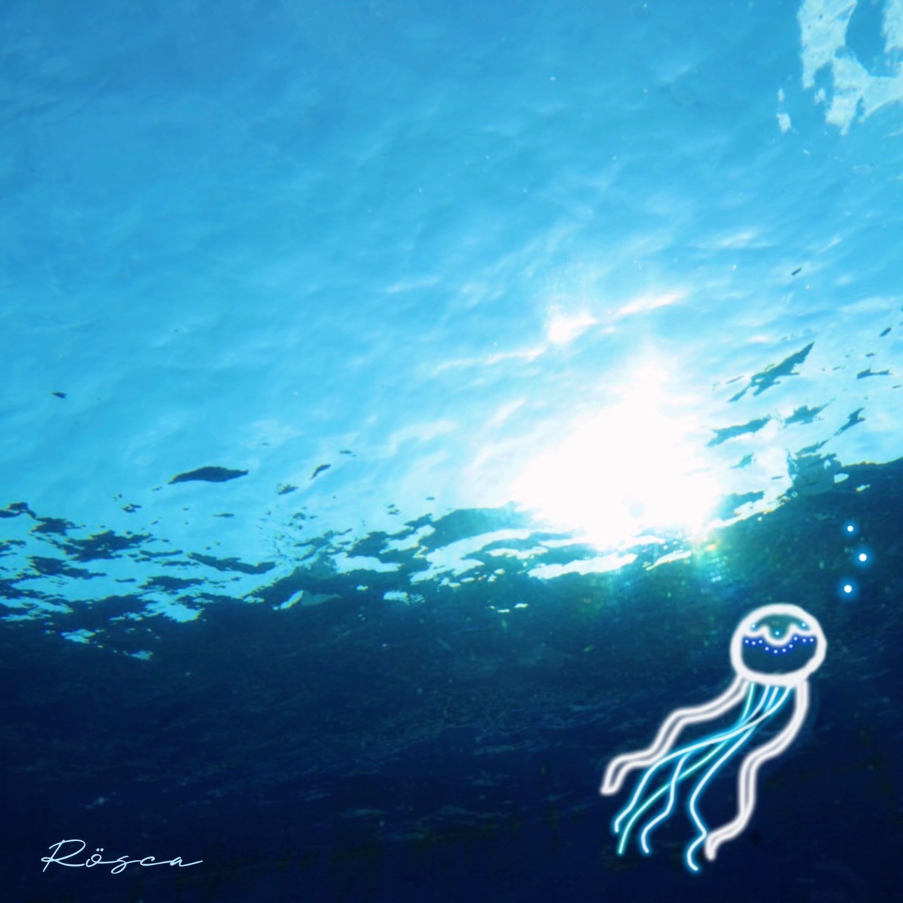 ジャケット写真