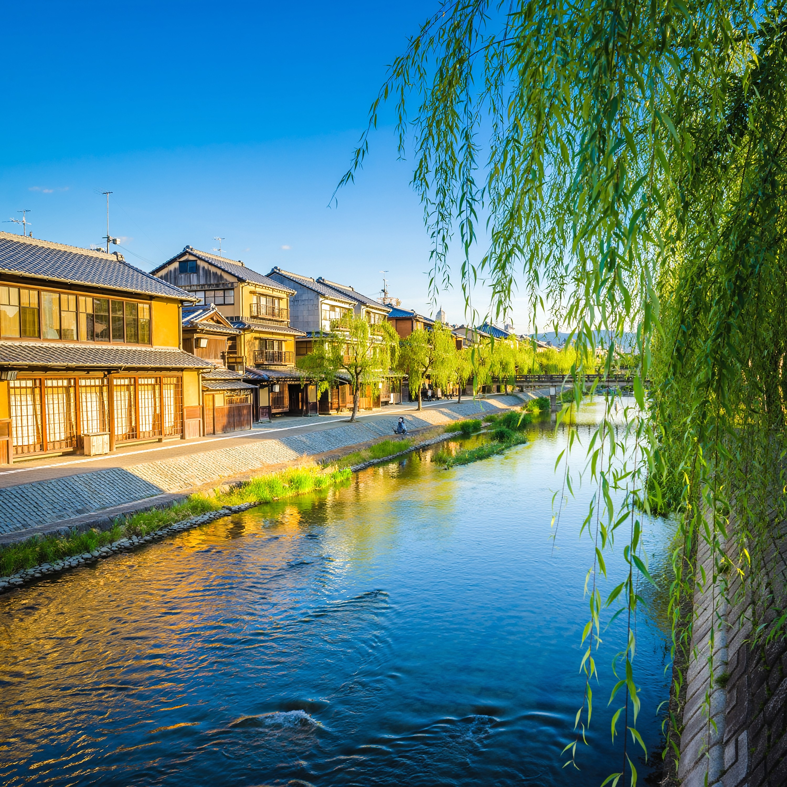 ジャケット写真