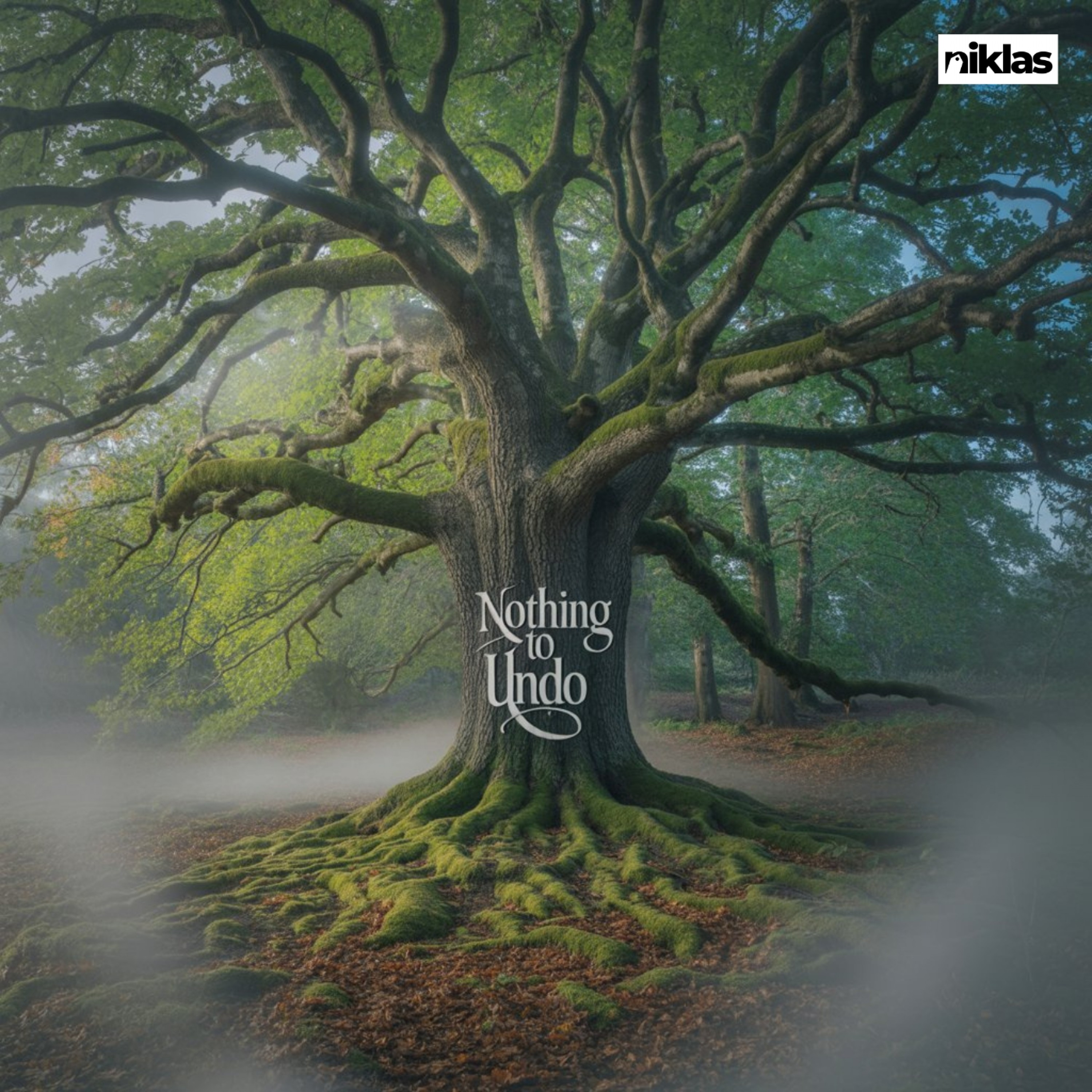 ジャケット写真