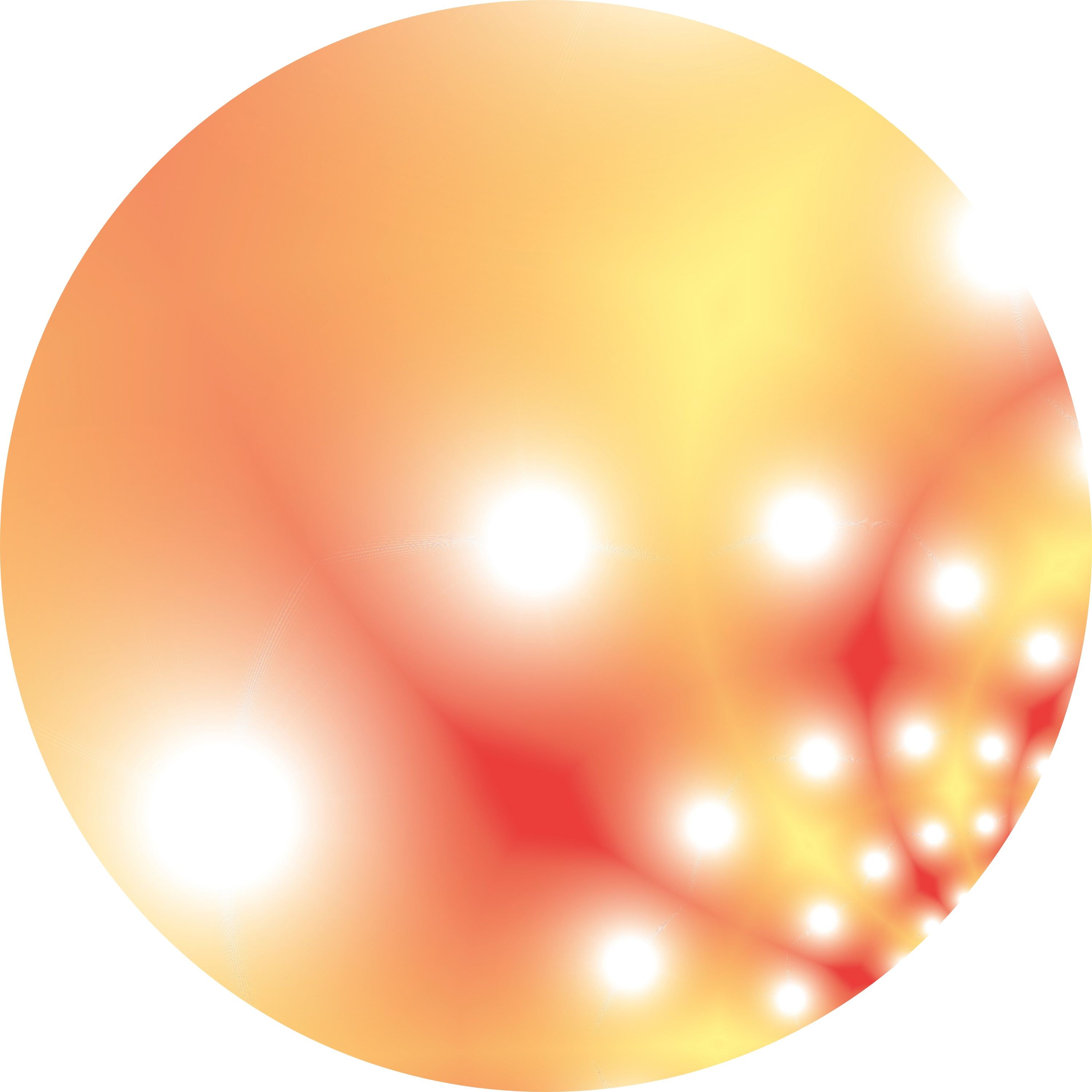 ジャケット写真